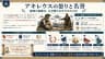 アキレウスの怒りと名誉