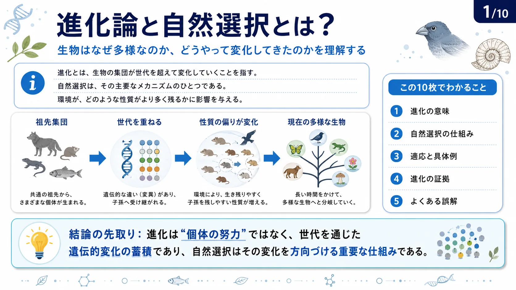 進化論と自然選択とは？