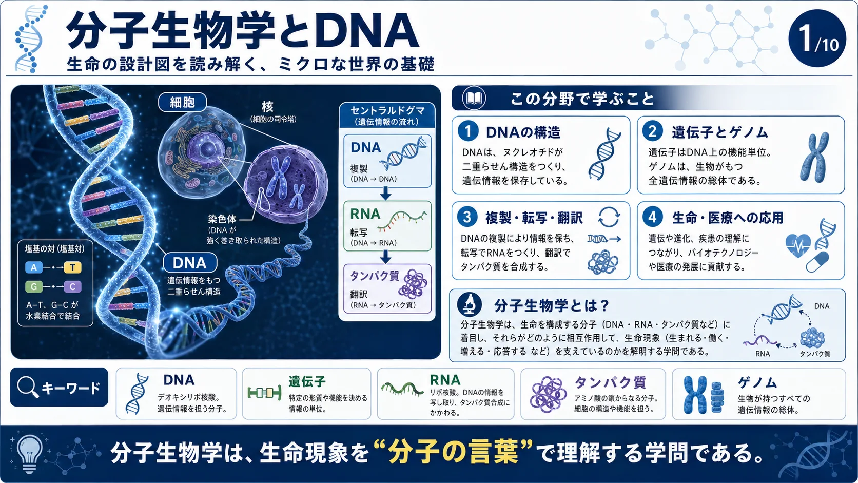 分子生物学とDNA