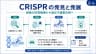 CRISPRの発見と発展