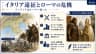 イタリア遠征とローマの危機