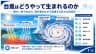 台風はどうやって生まれるのか