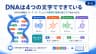 DNAは4つの文字でできている